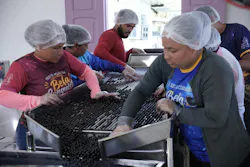 Processing acai in the Amazon using solar power – in Bela Conquista, Brazil. Photo provided by: Global Energy Alliance for People and Planet